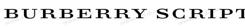 burberry script字体转换 burberry script字体转换